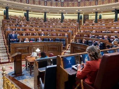 El presidente del Gobierno, Pedro Sánchez (al fondo, en pie), en un pleno del Congreso.