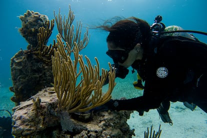 The Listener, Punta Nizuc, en Cancún.