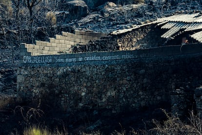 Un muro de piedra en la carretera que va a Cabezabellosa (Cáceres).