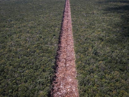 Vista aérea de la deforestación en la selva para construir las vías del tramo 5 del Tren Maya en Quintana Roo, en 2022.