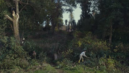 A scene from 'Taming the Garden'