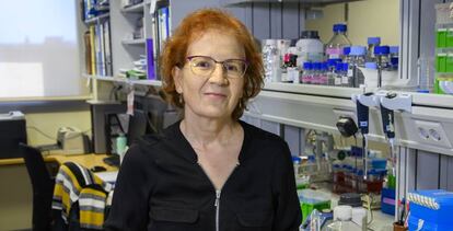 Margarita del Val, head of the Global Health initiative at Spain's CSIC.