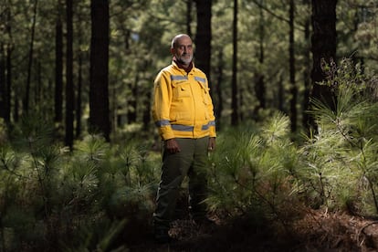 Ángel Palomares, director del Parque Nacional de la Caldera de Taburiente en el entorno del espacio natural.
