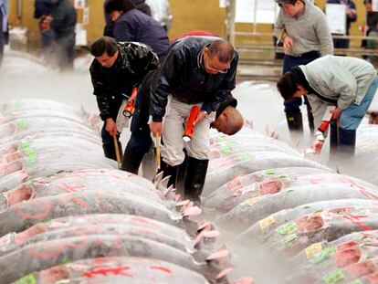 Unos pescaderos inspeccionan un trozo de atún en el mercado Tsukiji de Tokio, Japón, hoy viernes 5 de enero.