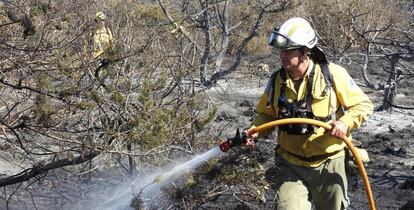 Un bombero durante la extinción de un incendio en el islote de S'Espalmador, el pasado 15 de agosto.