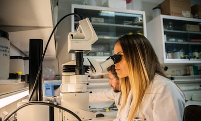 Investigadores del CSIC trabajan en el laboratorio (archivo). / CSIC