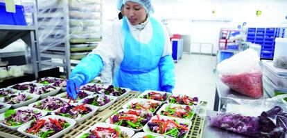 Preparación de ensalada en frío.