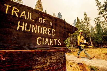 Un bombero monitoriza el área de entrada al sendero de los 100 gigantes.