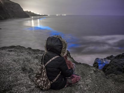 Bioluminiscencia en la zona rocosa de Playas de Tijuana.