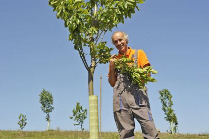 Manuel Ignacio González Yebra-Pimentel en su plantación de castaños de Carballedo, en Lugo.