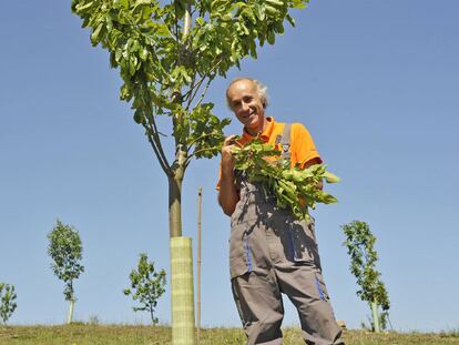 Manuel Ignacio González Yebra-Pimentel en su plantación de castaños de Carballedo, en Lugo.