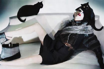 La misma firma contó en la campaña de otoño-invierno 2009-2010 con la modelo Kristen MacMenamy. En ella aparecía retratada participando en una suerte de orgía de gatos.