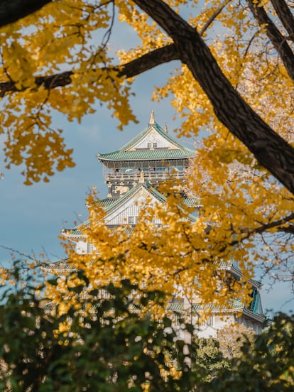 Otoño en el castillo de Osaka, Japón.