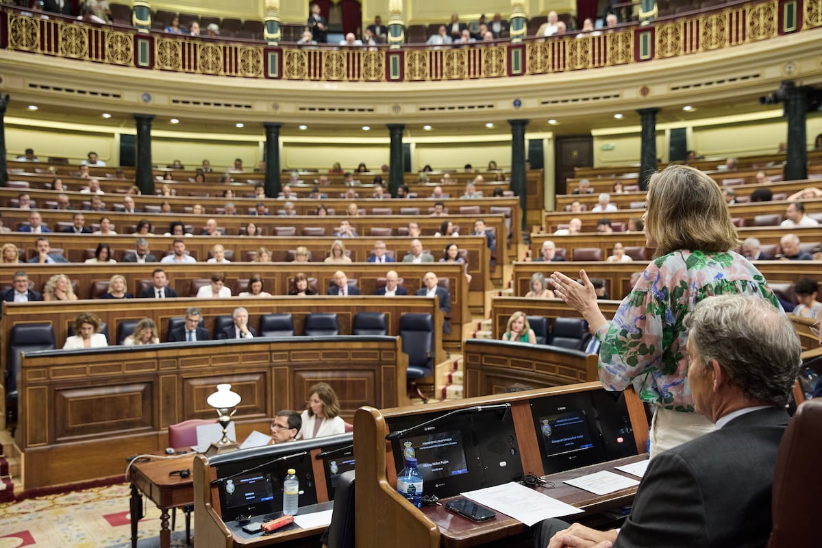 La crónica | El Congreso se anega de casos de...