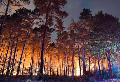 Un bosque arde este viernes en Klausdorf, a 50 kilómetros de Berlín. 