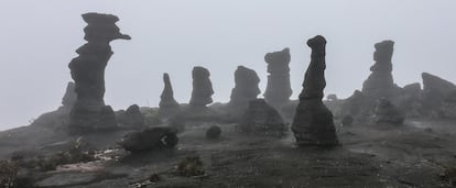 En las grandes mesetas rocosas que conforman las cimas de los tepuyes de Canaima aguardan sorpresas geológicas como esta: esbeltos pináculos de roca cuyo caprichoso perfil es fruto de la erosión.