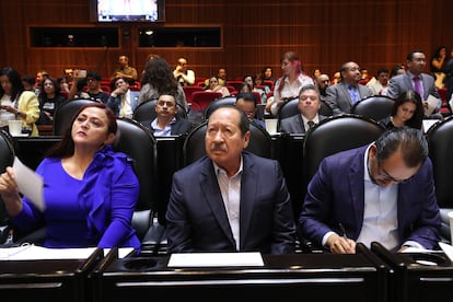 El diputado por MORENA Leonel Godoy durante la sesión de la Comisión de Puntos Constitucionales de la Cámara de Diputados, el 1 de agosto del 2024.