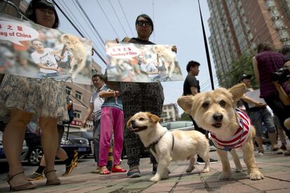 Defensores de los derechos animales protesta en la puerta de la oficina de Yulin en Beijing, para acabar con el festival anual de carne de perro de Yulin.