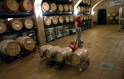 Traslado de las barricas con vino Musa en la bodega de EVENA.