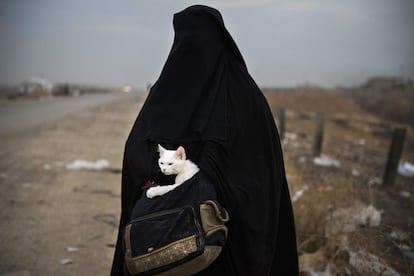 Una mujer iraquí desplazada, que sujeta un gato, camina cerca de una carretera en el pueblo Shaqouli, a unos 35 kilómetros al este de Mosul (Irak).