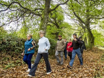 Marcha vecinal en uno de los bosques de las Fragas de Catasós, en Lalín