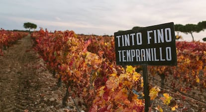 El 74% de los turistas que acuden a las bodegas son españoles.