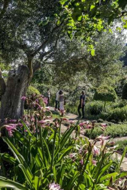 Jardín del Museo Sa Bassa Blanca, en Mallorca.