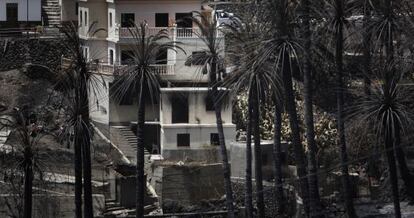 Burned homes are seen on August 14 in Valle Gran Rey after wildfires devastated La Gomera. 