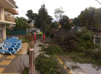 Los bomberos retirando parte de los árboles arrancados en Salou.