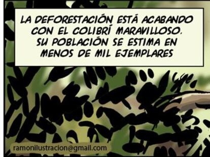 Ramón