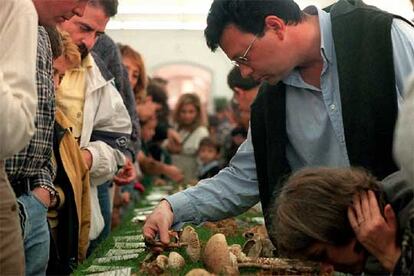 Aficionados a las setas, en una exposición micológica en el Jardín Botánico.