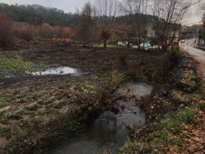 Los efectos de la borrasca han afectado la zona de Carballeda de Avia.