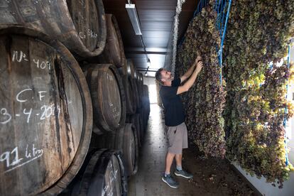 El enólogo y bodeguero Vicente Inat, el 27 de agosto en su bodega Viñedos Verticales en Moclinejo.