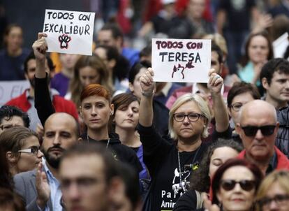 Concentración en Madrid, este sábado, en apoyo a Teresa Romero y en protesta por el sacrificio de Excalibur, el perro de la auxiliar de enfermería