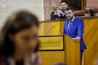 El diputado del grupo parlamentario Popular y secretario general del PP de Sevilla, Jos Ricardo Garca, en un pleno del Parlamento de Andaluca.