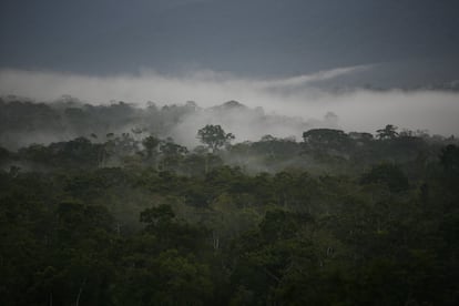 La Amazonía sur de Ecuador alberga exuberantes bosques húmedos tropicales, con una gran diversidad biológica y especies endémicas. Las organizaciones medioambientales temen que las actividades mineras afecten irreversiblemente la biodiversidad de estos frágiles ecosistemas como ya ha ocurrido en la parte norte de la Amazonía ecuatoriana donde operan las petroleras desde la década de los setenta. 