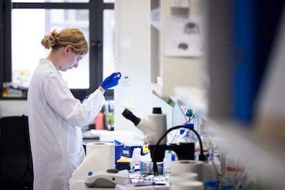 Un laboratorio de investigación científica, en una imagen de archivo.