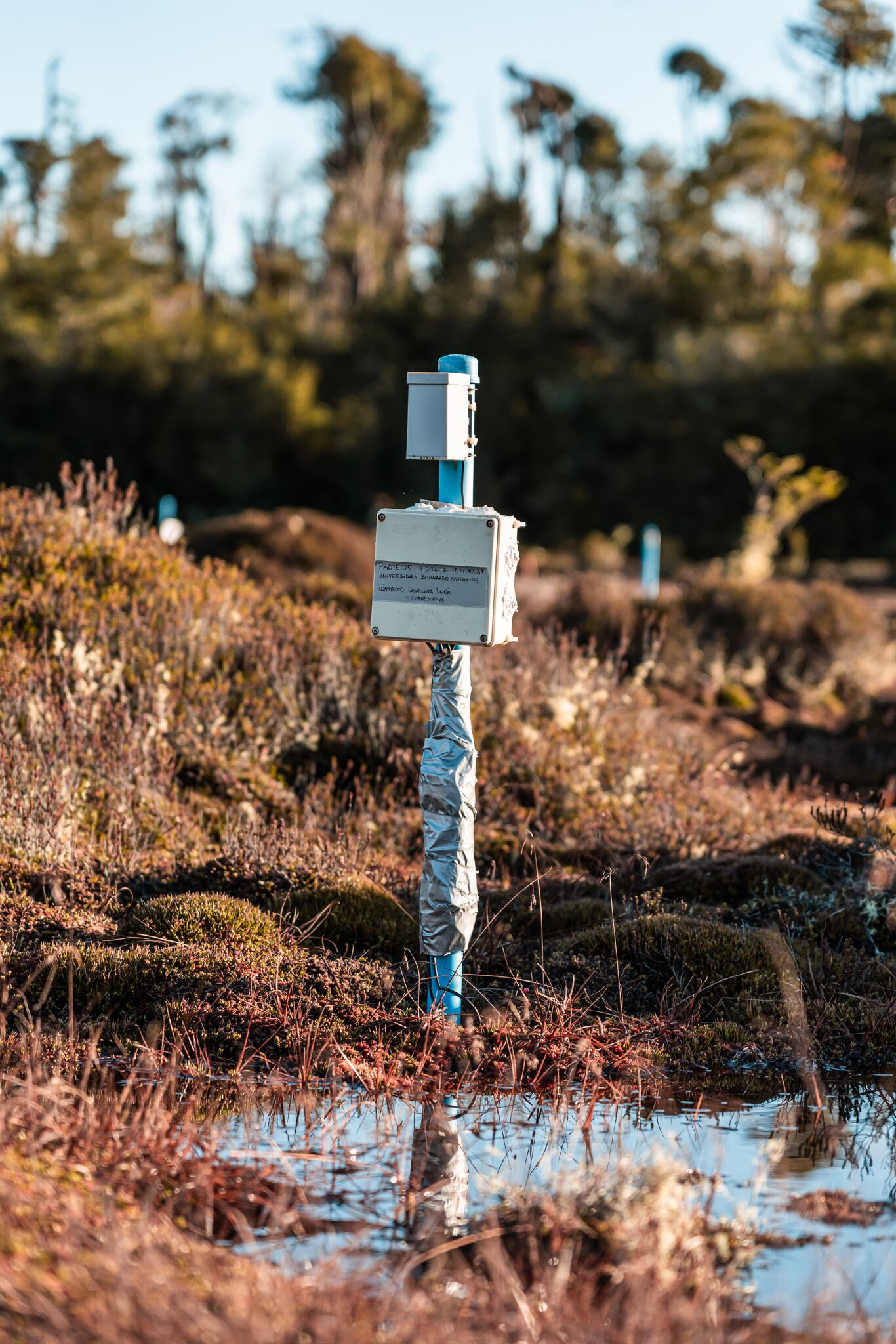 Un sensor mide la temperatura, humedad y el nivel del agua en el sitio del experimento.