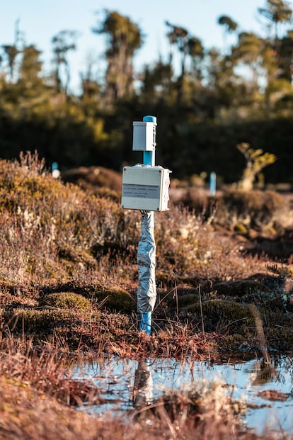 Un sensor mide la temperatura, humedad y el nivel del agua en el sitio del experimento.
