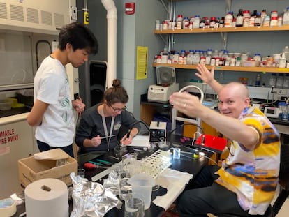 The moment when two jellyfish were successfully fused in a laboratory. The authors of the research from left to right: Kei Jokura, Mariana Rodríguez-Santiago and Tommi Anttonen.