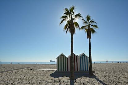 Muy concurrida desde que empiezan las buenas temperaturas, la playa de Poniente —la más extensa de Benidorm, pero menos visitada que la de Levante— tiene 3.100 metros de largo y 105 de anchura media. La bordea un ondulante paseo marítimo, obra de Carlos Ferrater y Xavier Martí Galí, en el que está uno de los hoteles más altos de Europa, el Bali (186 metros). A lo largo de este arenal urbano con bandera azul se encuentran zonas de juegos para niños, redes para jugar al vóley y fútbol playa, duchas, puestos de vigilancia y puntos de playa accesibles para personas con discapacidad. Más información: <a href="https://visitbenidorm.es/" target="_blank">visitbenidorm.es</a>