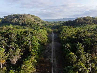 Vista de dron de antigua pista ilegal para el trafico de droga por avionetas que distintos testimonios de la comunidades de la zona Lacandona señalan como parte de las actividades criminales que se desarrollaban bajo el mando de Cabrero Segundo López, alias “La cabra” quien actualmente se encuentra preso acusado de desaparición forzada, extorsión, robo con violencia, lesiones calificadas y delincuencia organizada.