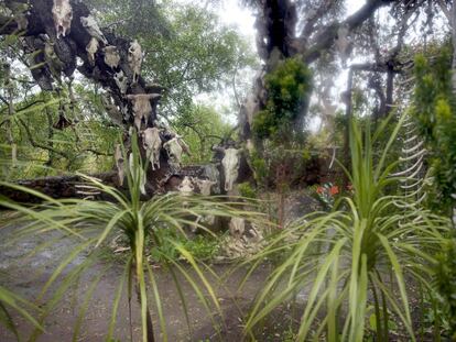 En el jardín crecen unas 1.200 especies, de las cuales 15 han desaparecido y un centenar están amenazadas