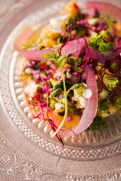 Ceviche de coles de invierno sobre gel de kaki y brotes de remolacha.