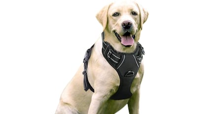Arnés tipo chaleco para perro.
