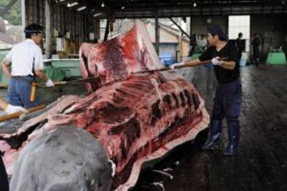 En la imagen, varios pescadores quitando la piel a una ballena en Wada Port, Japón. EFE/Archivo