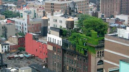 Edificio 'naturado' en Manhattan, Nueva York.