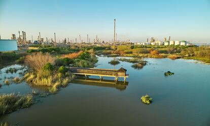 La Laguna Primera de Palos ha pasado de espacio degradado a ser una referencia de recuperación ambiental.