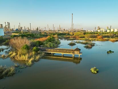 La Laguna Primera de Palos ha pasado de espacio degradado a ser una referencia de recuperación ambiental.