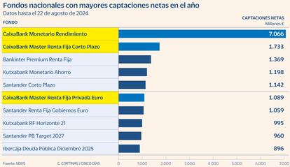 Fondos nacionales con mayores captaciones netas en el año